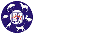 animedica.gr